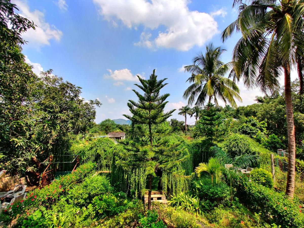 Hotel Anil Farmhouse Gir Jungle Resort Gírský les Exteriér fotografie